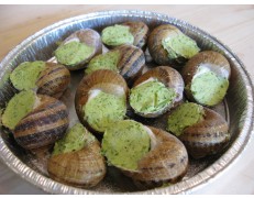 Escargot en coquille surgelés