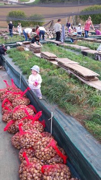 visite de l'élevage d'escargots